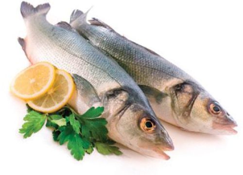 ahkam-fish