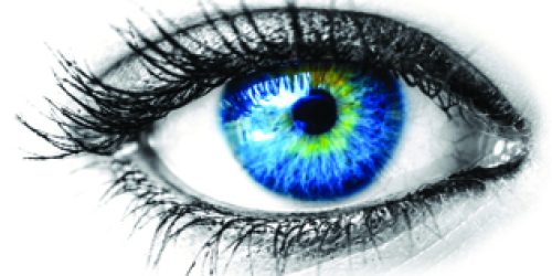 eye
