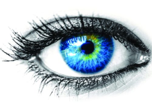 eye