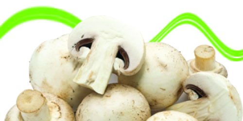 mushroom