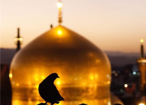 sher-emam